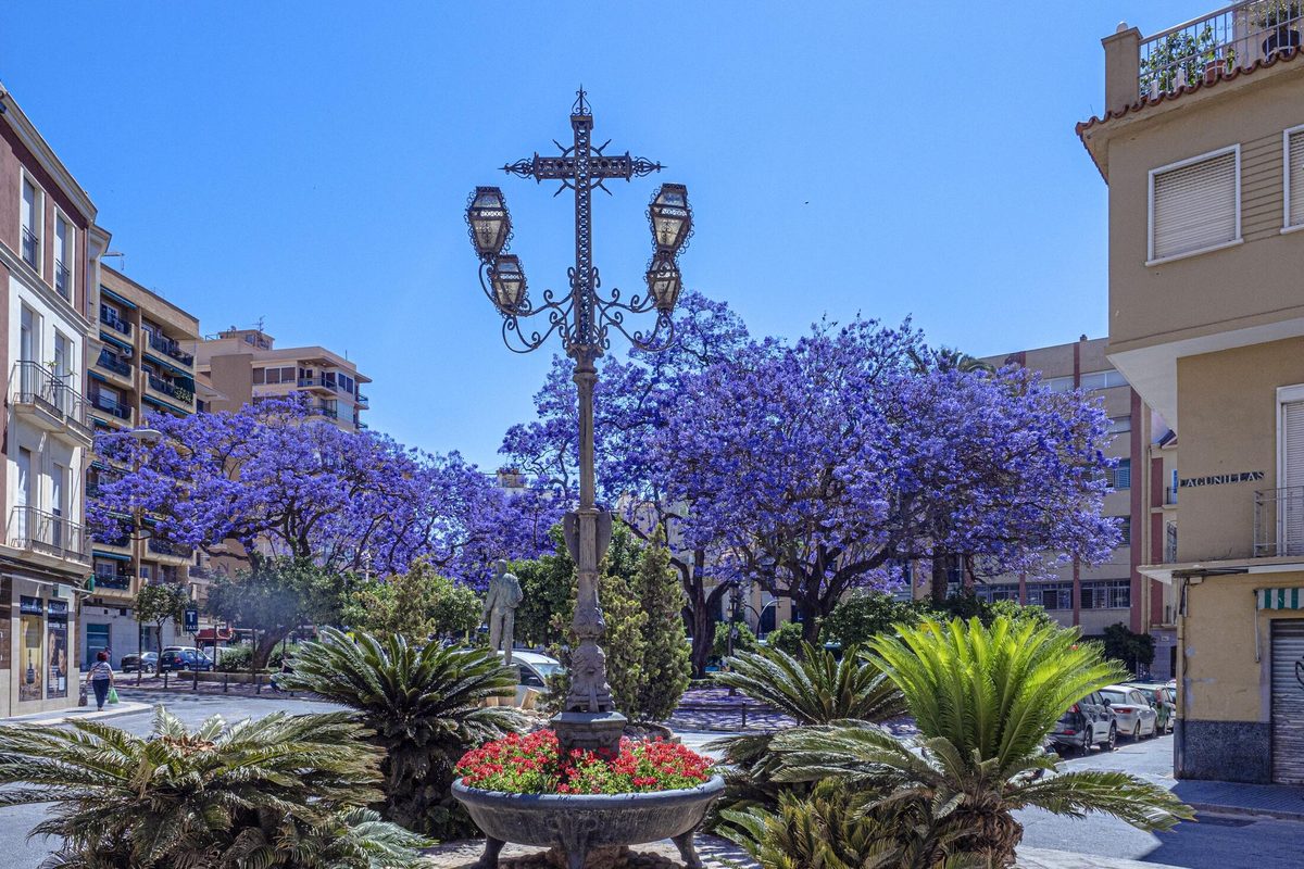 Plaza con jacarandas en flor cerca de La Victoria, Málaga